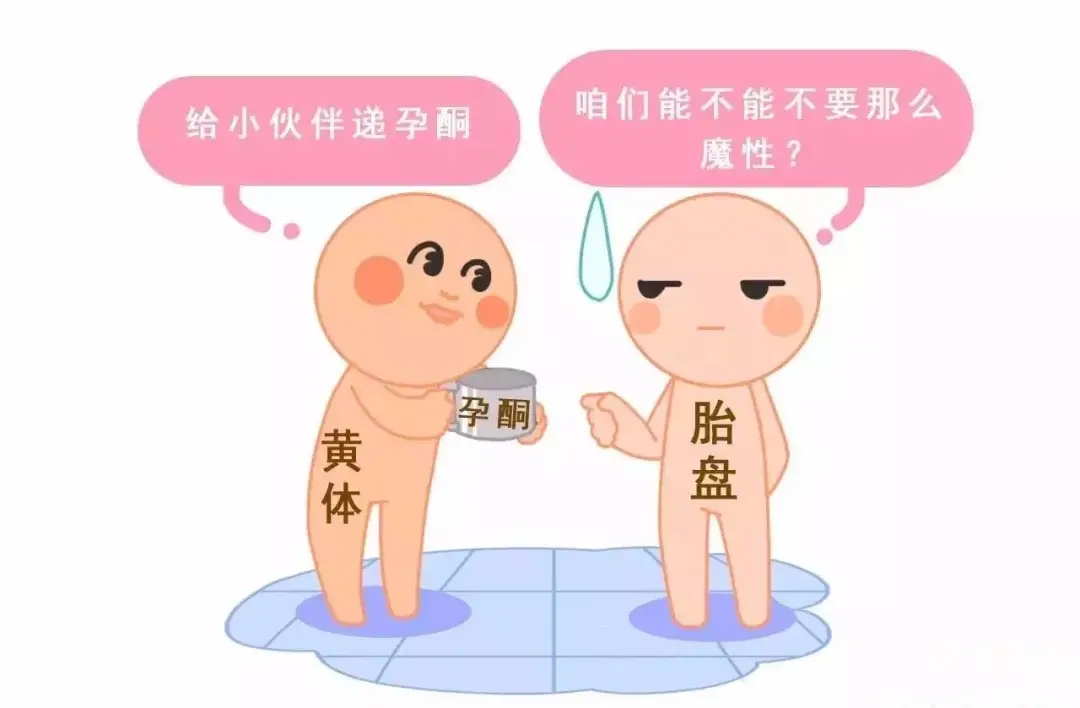 HCG和孕酮低一定會流產(chǎn)？備孕女性必須知道的孕早期“秘密”