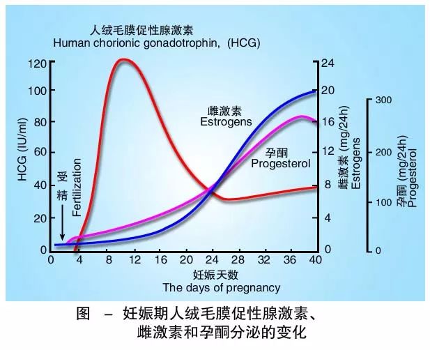 懷孕期間HCG低怎么辦？