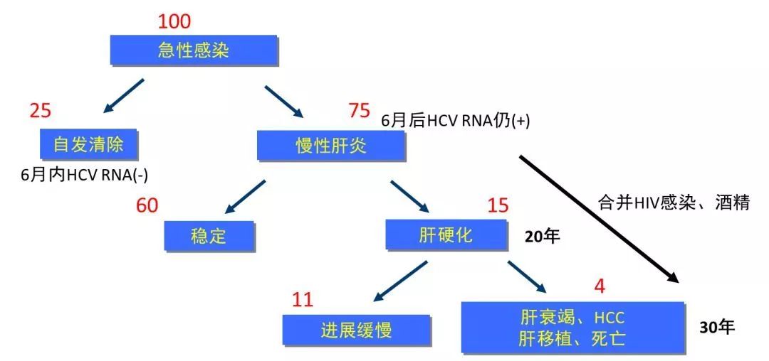 丙肝檢測的弱陽性究竟是不是感染了丙肝？